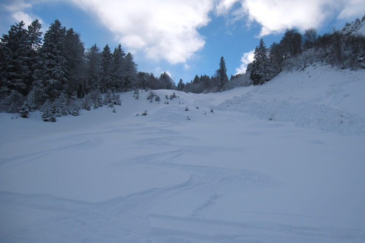 TROOSENALP