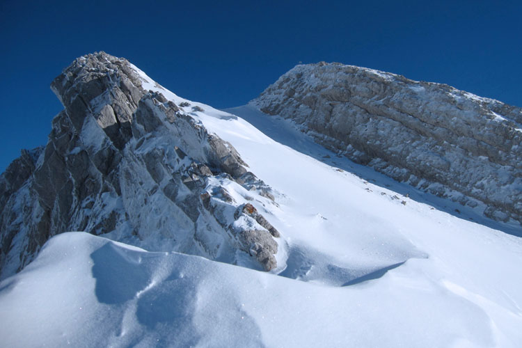 WILDHUSER SCHAFBERG