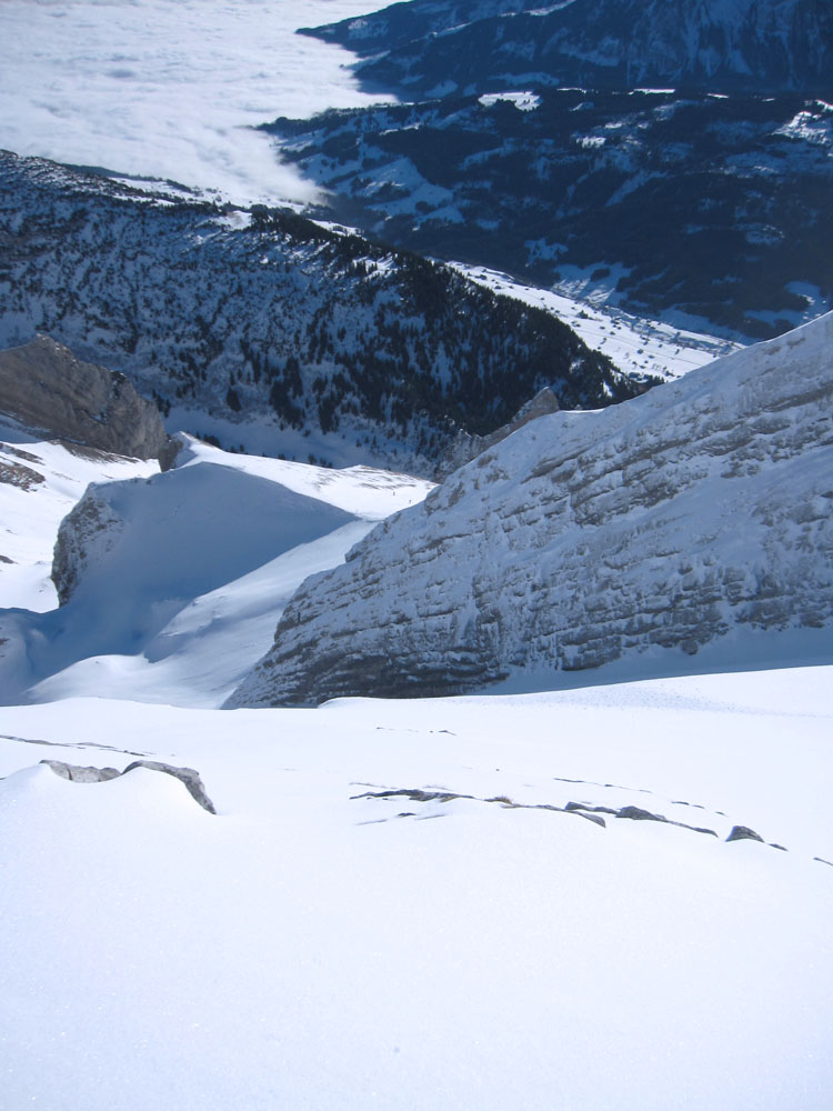 WILDHUSER SCHAFBERG