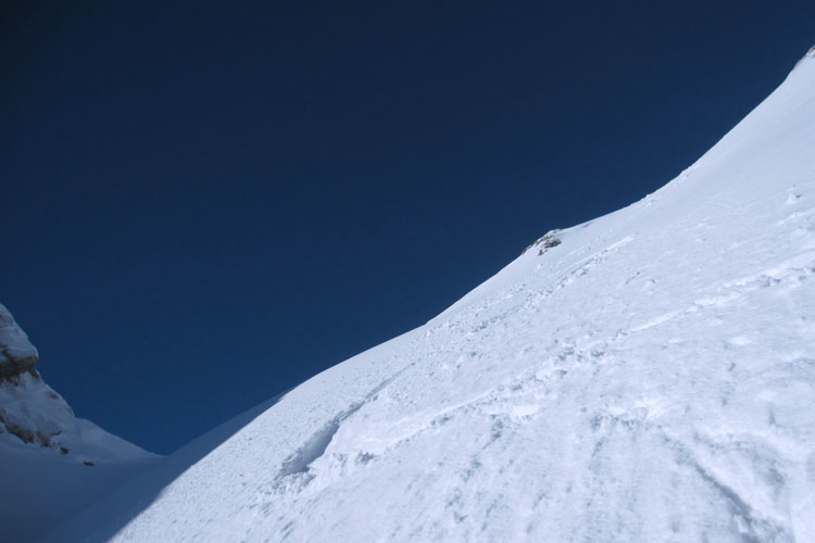 WILDHUSER SCHAFBERG