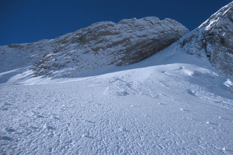 WILDHUSER SCHAFBERG