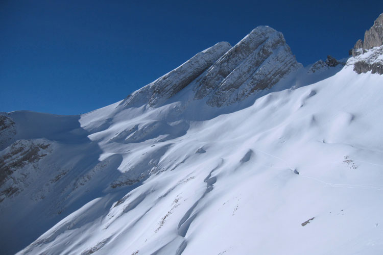 WILDHUSER SCHAFBERG