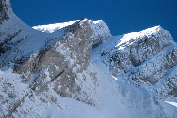 WILDHUSER SCHAFBERG