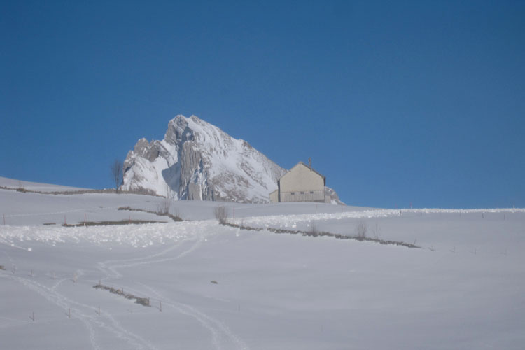 WILDHUSER SCHAFBERG