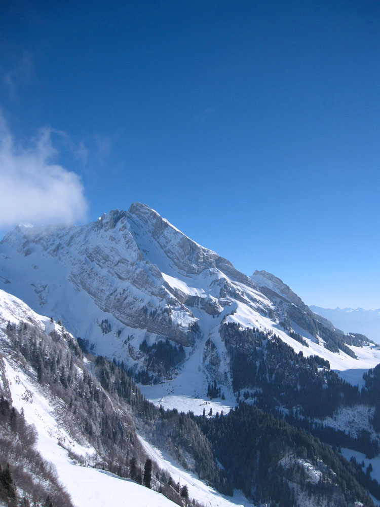 WILDHUSER SCHAFBERG