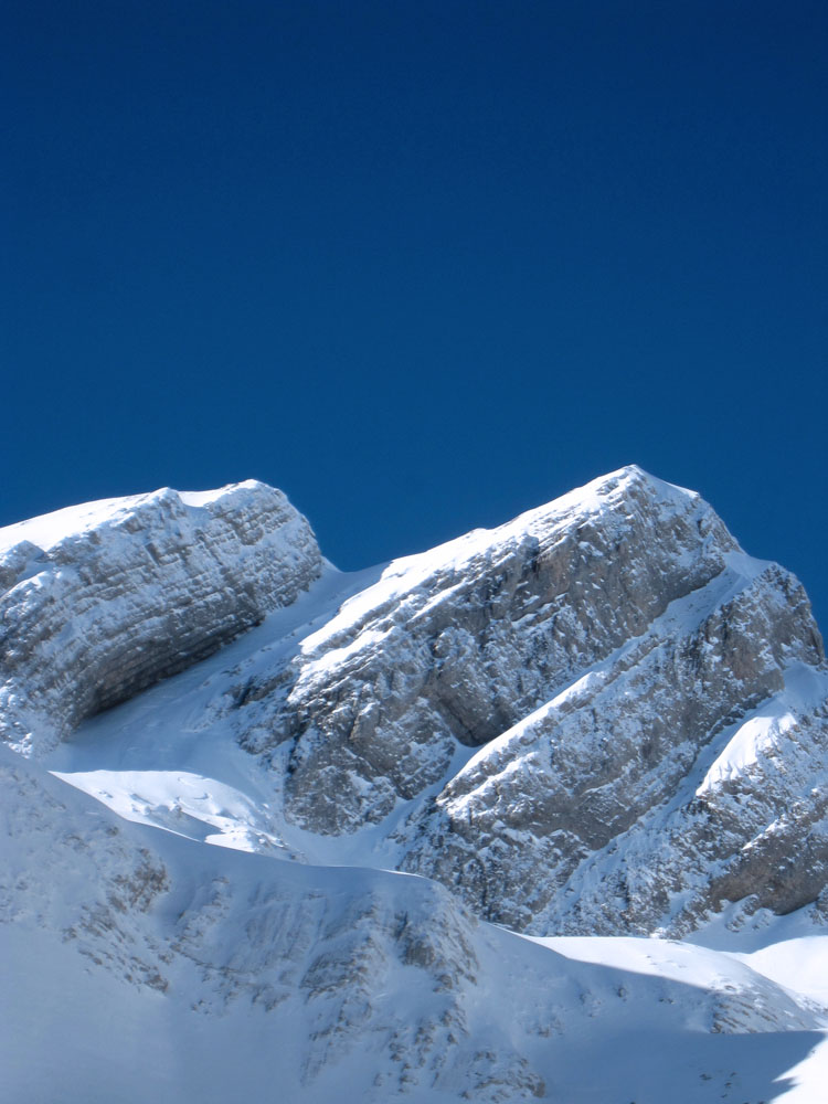 WILDHUSER SCHAFBERG