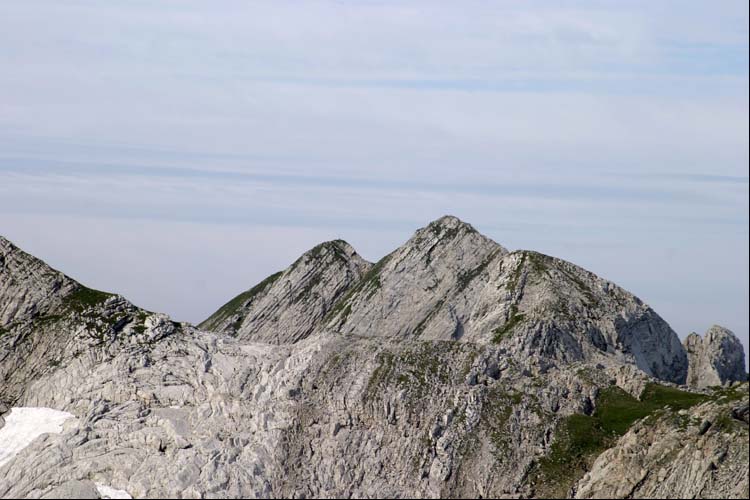 WILDHUSER SCHAFBERG SG