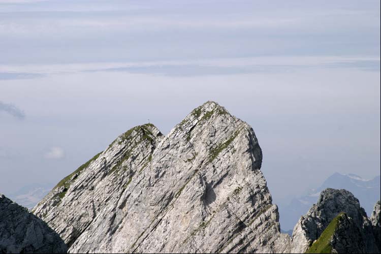 WILDHUSER SCHAFBERG SG