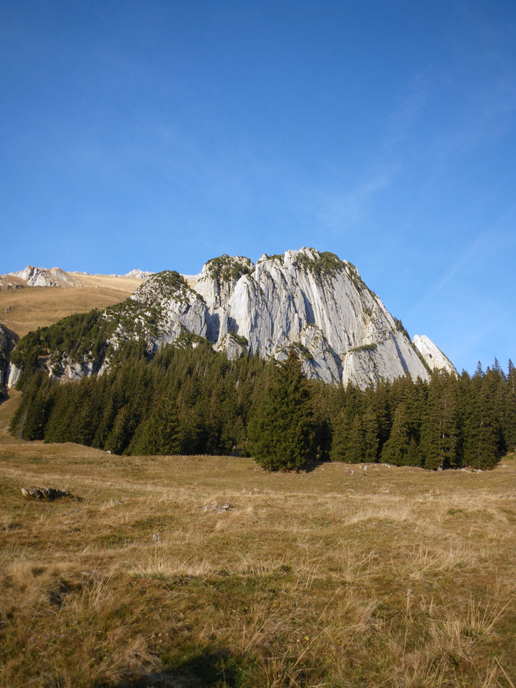 SCHAFBERG WESTWAND