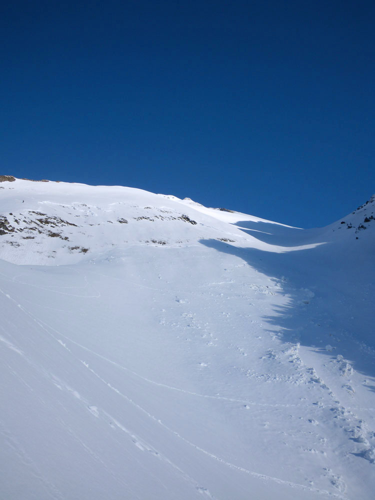 WILDHUSER SCHAFBERG