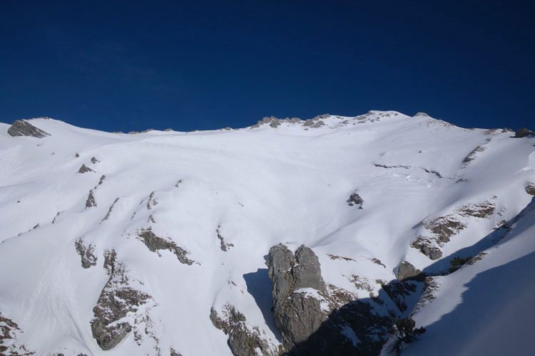 WILDHUSER SCHAFBERG