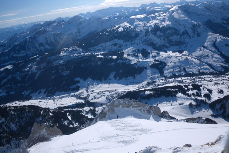 WILDHUSER SCHAFBERG