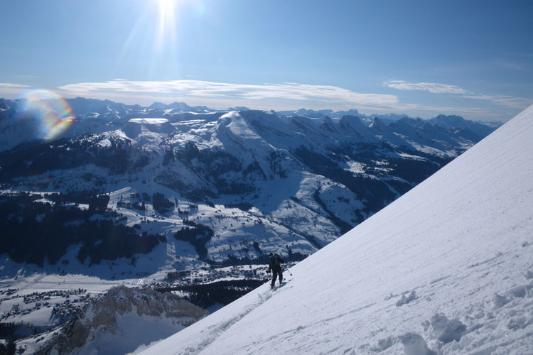 WILDHUSER SCHAFBERG