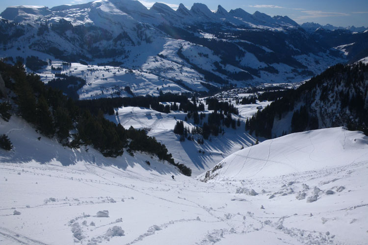 WILDHUSER SCHAFBERG