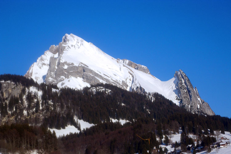 WILDHUSER SCHAFBERG