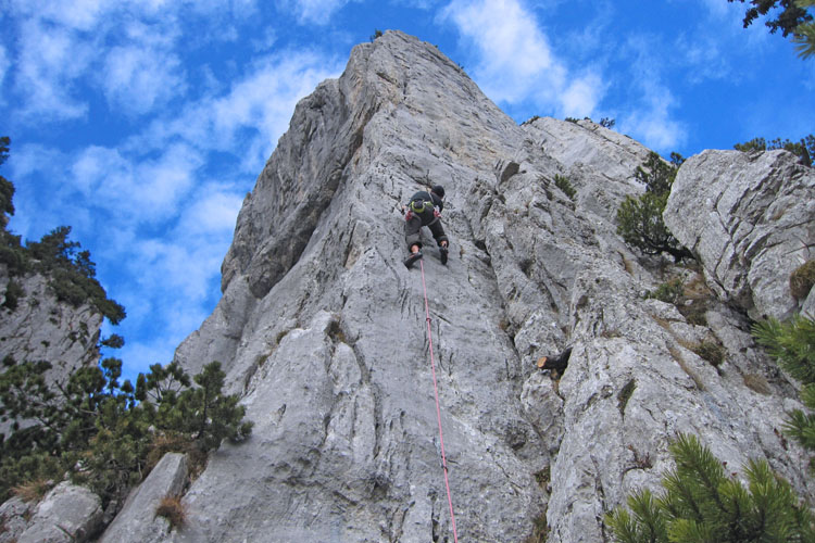 SCHAFBERG VORBAUTURM