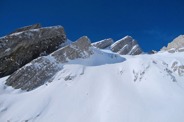 WILDHUSER SCHAFBERG