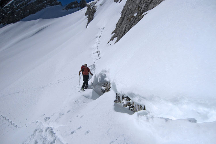 WILDHUSER SCHAFBODEN