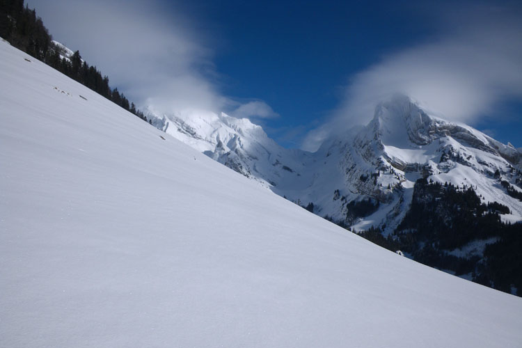 WILDHUSER SCHAFBERG