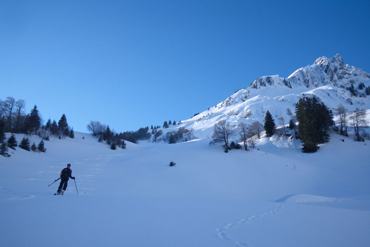 TROOSENALP