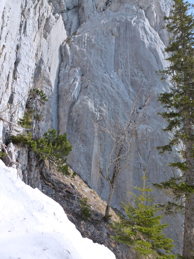 SCHAFBERG WESTWAND