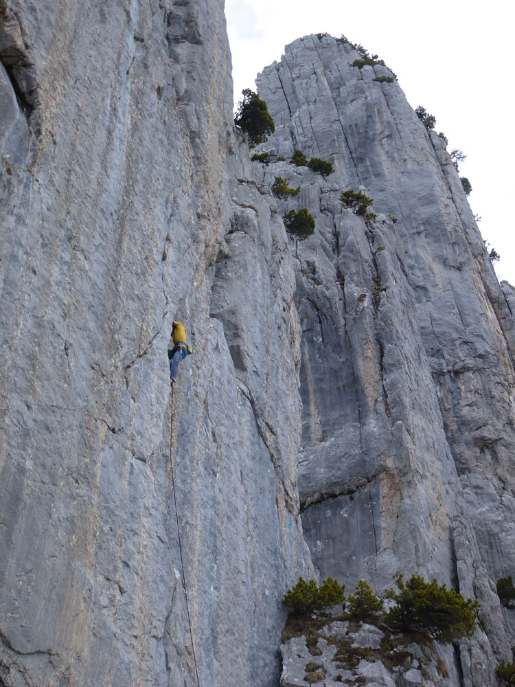 SCHAFBERG KLEINER KLETTERGARTEN