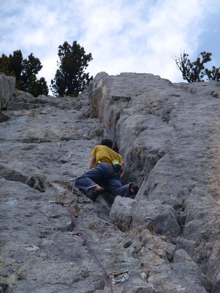 SCHAFBERG KLEINER KLETTERGARTEN