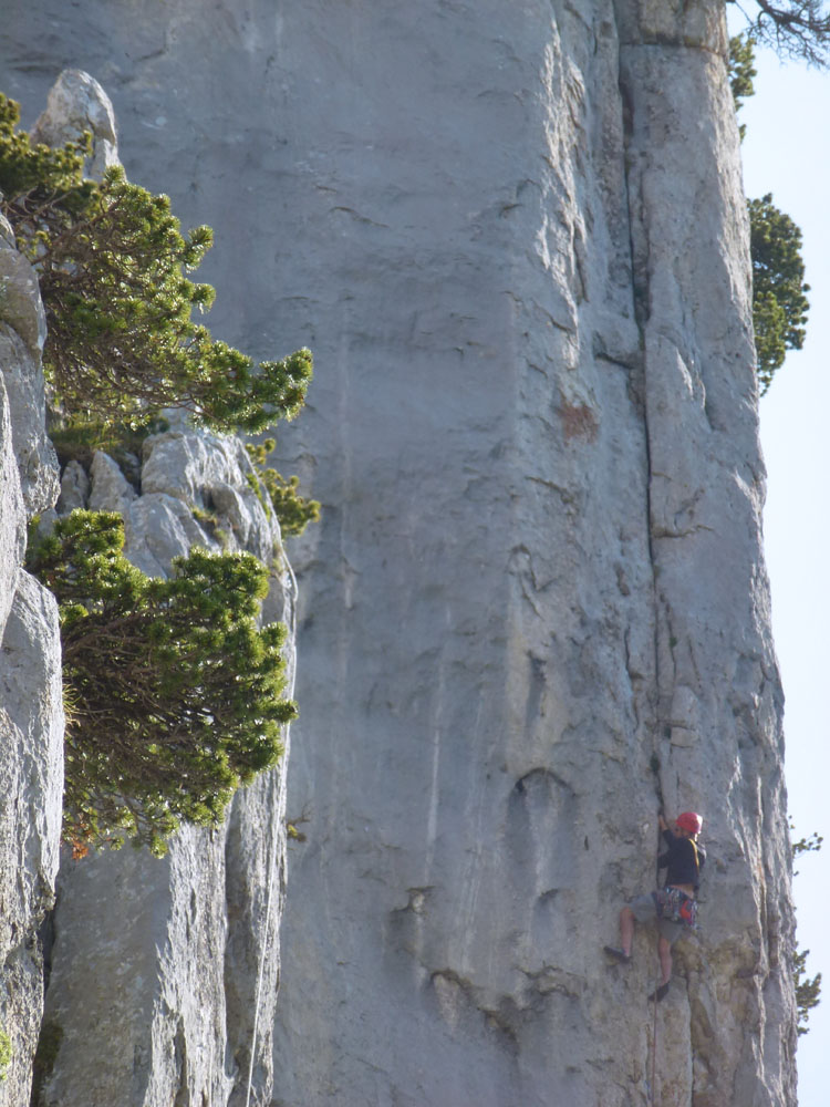 SCHAFBERG KLEINER KLETTERGARTEN