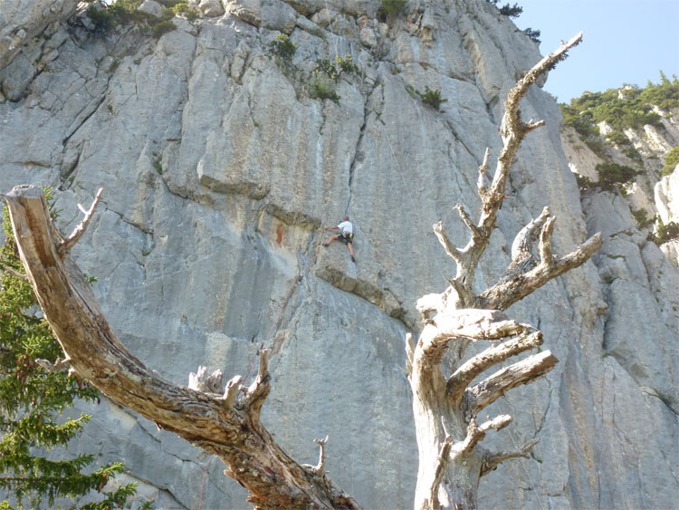 SCHAFBERG KLEINER KLETTERGARTEN