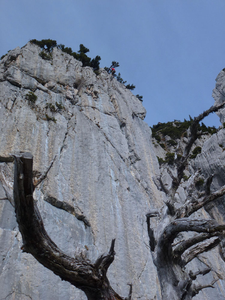 SCHAFBERG KLEINER KLETTERGARTEN