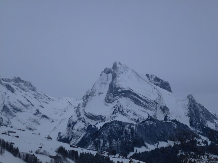 WILDHUSER SCHAFBERG