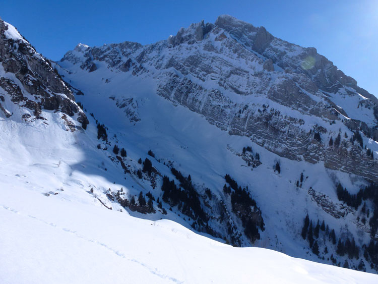 WILDHUSER SCHAFBERG