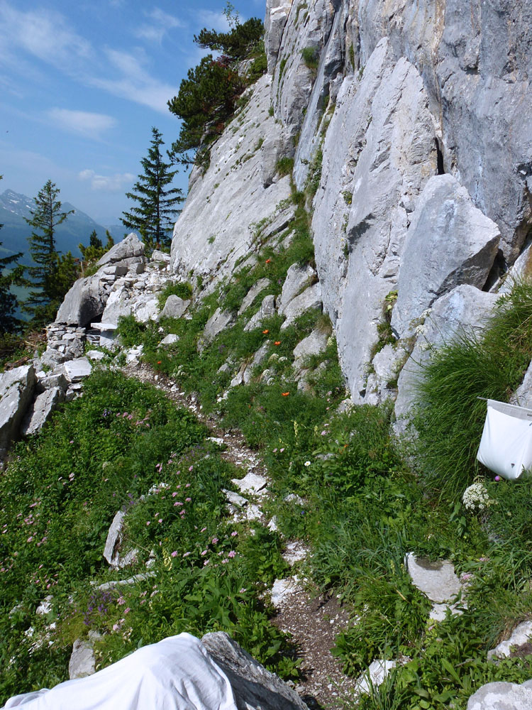 SCHAFBERG KLEINER KLETTERGARTEN