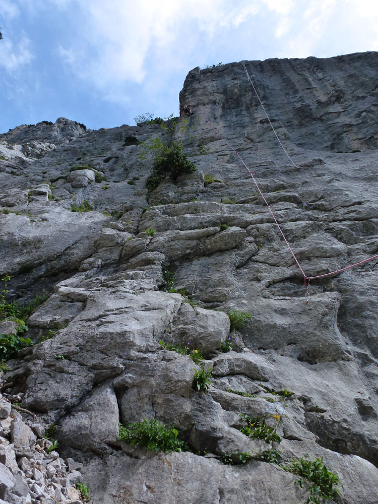 SCHAFBERG KALTE WAND