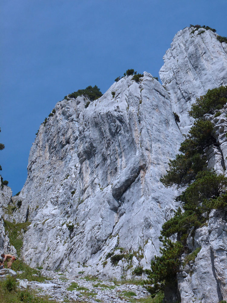 SCHAFBERG KALTE WAND