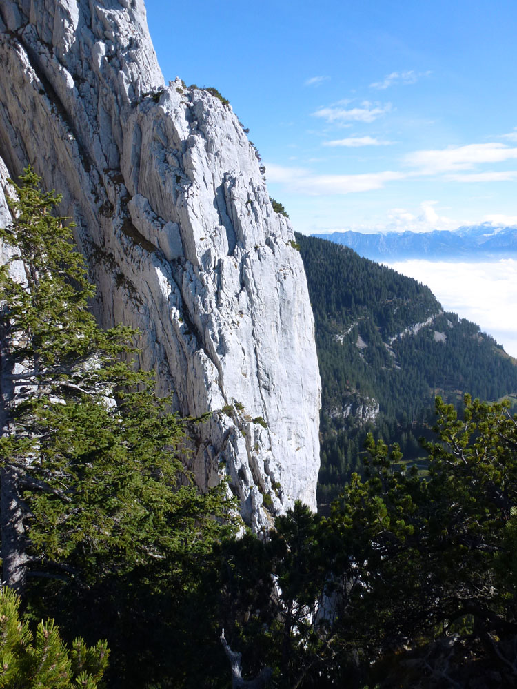 SCHAFBERG WESTWAND