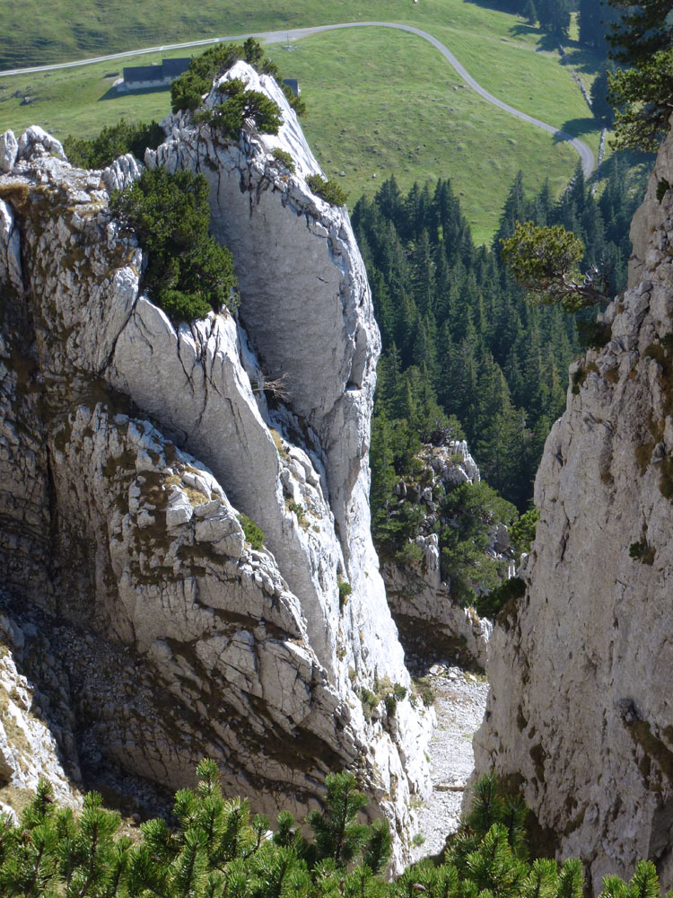 SCHAFBERG KALTE WAND