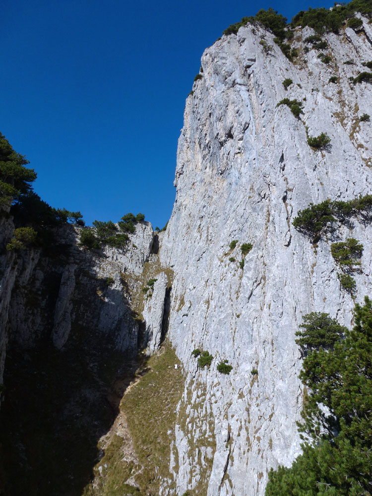 SCHAFBERG STEILE WAND