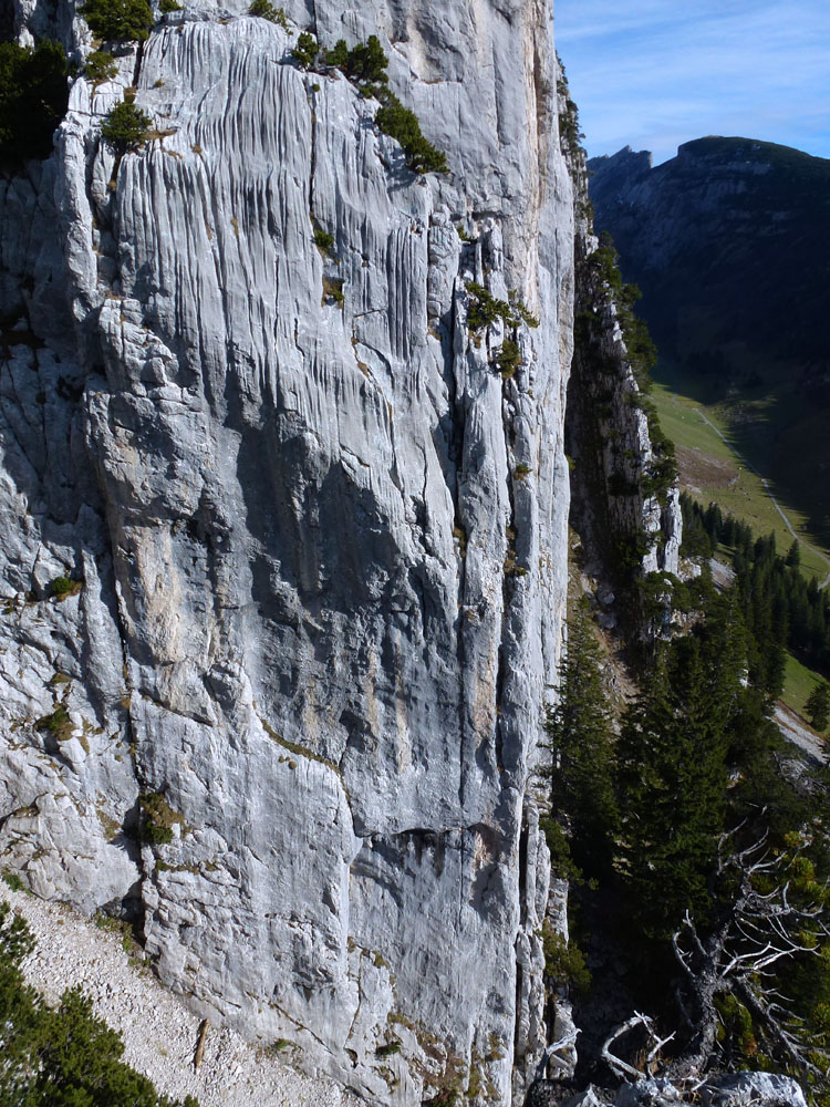 SCHAFBERG KALTE WAND