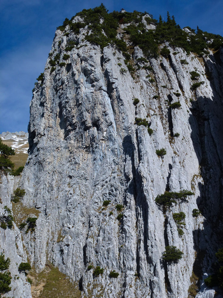 SCHAFBERG STEILE WAND