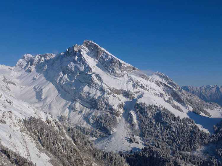 WILDHUSER SCHAFBERG