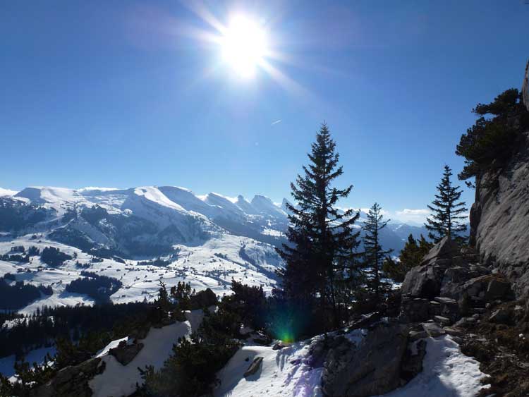 KLEINER KLETTERGARTEN