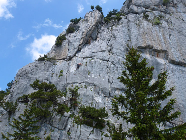 KLEINER KLETTERGARTEN