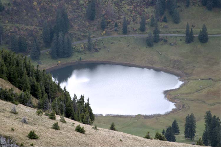 GRPPELENSEE SG