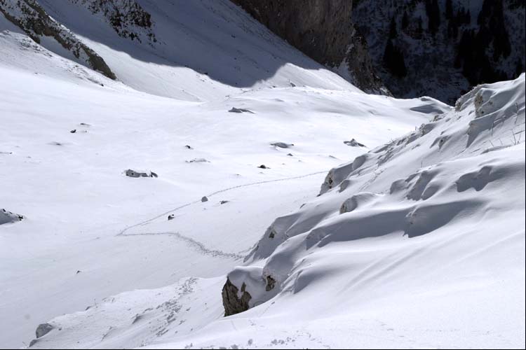 WILDHUSER SCHAFBERG