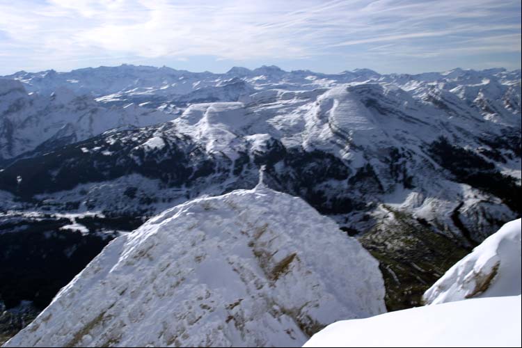 WILDHUSER SCHAFBERG