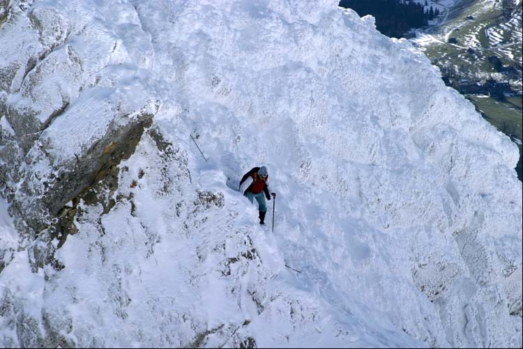 WILDHUSER SCHAFBERG