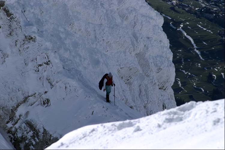 WILDHUSER SCHAFBERG