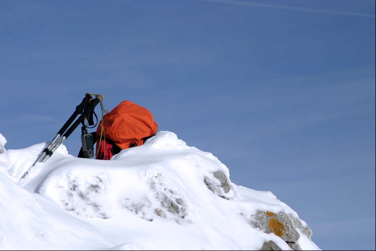 WILDHUSER SCHAFBERG