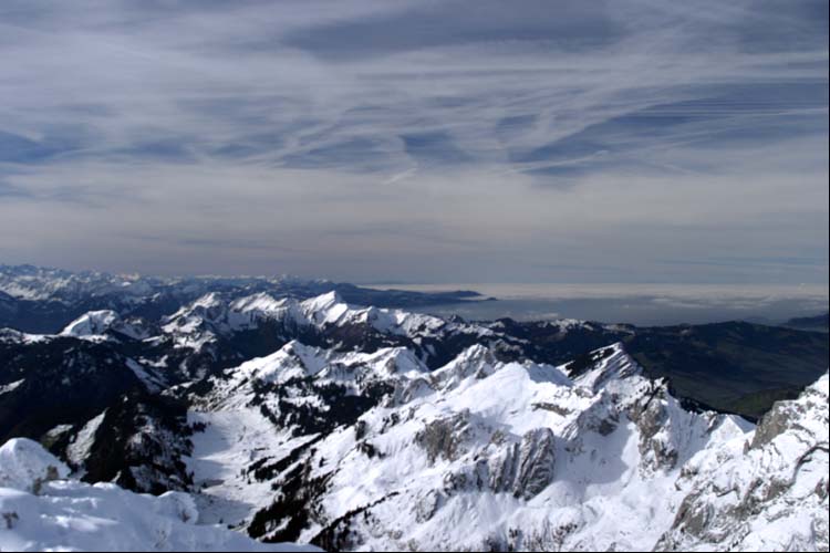 WILDHUSER SCHAFBERG